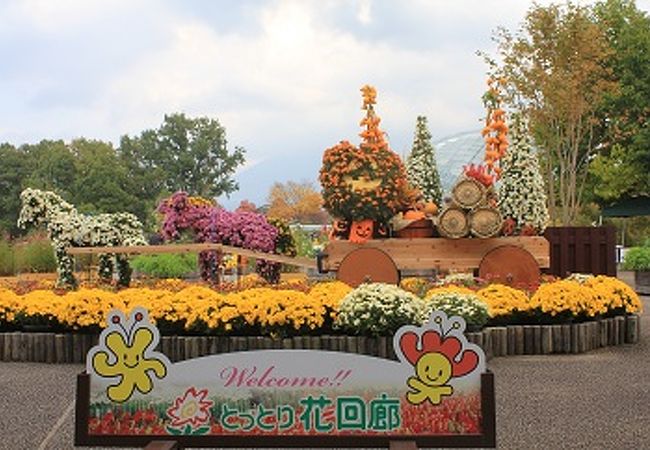 鳥取県立フラワーパークとっとり花回廊