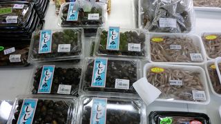 琵琶湖に行ったら寄ってね！