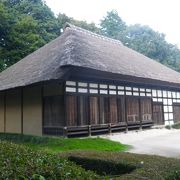 桃林がある広大な公園