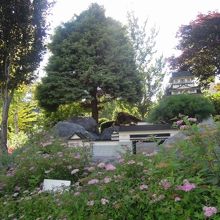 小さい船のアトラクションに乗ると大阪城が見れます