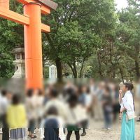 春日大社の神主さんが案内する朝のお参り。夏期の土日祝日