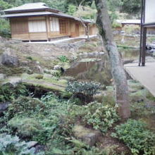 本堂裏の心字池庭園