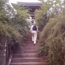 花なしの萩の階段