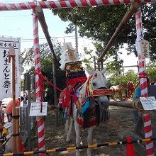 馬の塔馬具