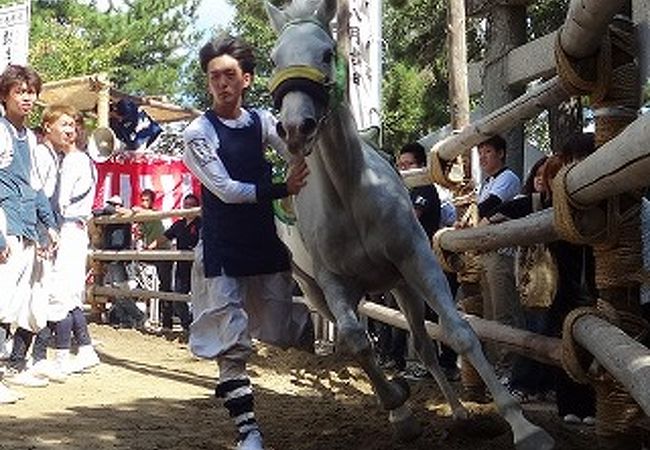 全国的にも珍しい勇壮なお祭りです