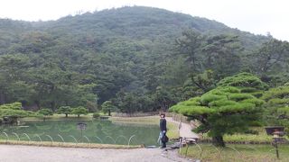 栗林公園の借景としてあまりにも美しい