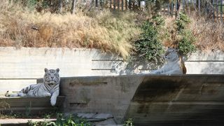 首都にある立派な動物園