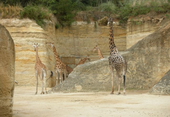 Zoo de Doue la Fontaine
