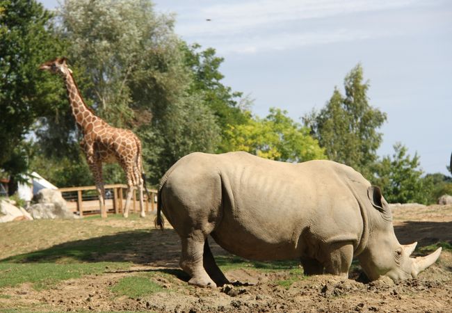 Zoo de Beauval