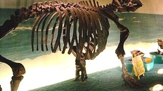 あまり人が居ないので快適です