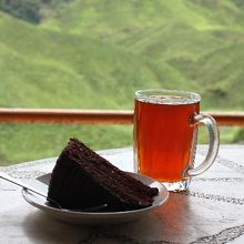 展望所からの風景と紅茶とショートケーキは格別！