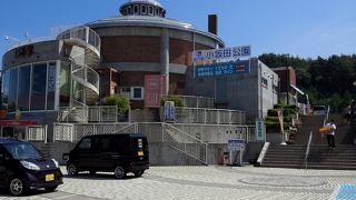 昆虫を中心とした動植物の標本や資料が展示されています