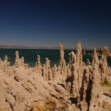 地上に伸びるトゥファ