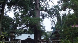 水主神社