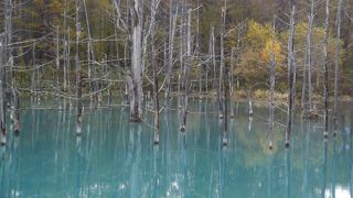 神秘的パワースポット！