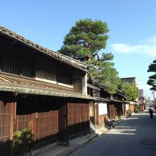 見越しの松が美しい近江商人の町並み By ひたちふづき 新町通りのクチコミ フォートラベル 見越しの松が美しい近江商人の町並み By ひたちふづき 新町通りのクチコミ フォートラベル