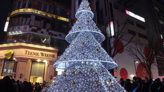 冬にはクリスマスツリーが現れます