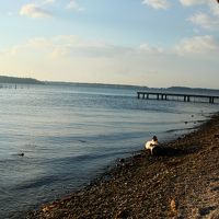 ホテル前の湖岸。翌朝撮影。