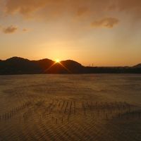 客室から眺める日の出の瞬間。