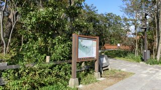 のんびり歩きで森林浴