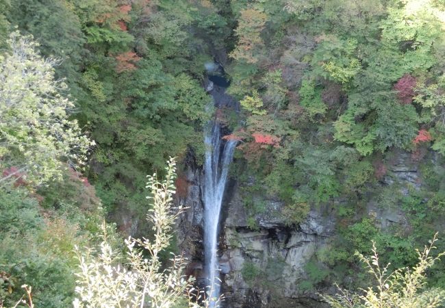 展望台からみた滝