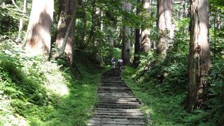 ２０００段超の階段と杉並木