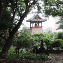 上野の杜の中に現れます