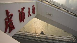 （上海）万博会場を見渡せる大橋