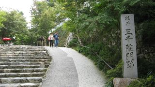 なだらかな登り坂道を行くと