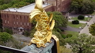 大阪城天守閣から景色はなかなかのものです