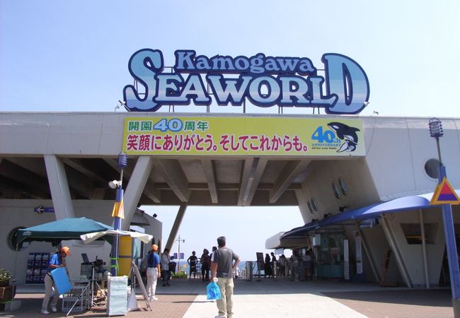 鴨川シーワールド クチコミ アクセス 営業時間 鴨川 フォートラベル 鴨川シーワールド クチコミ アクセス 営業時間 鴨川 フォートラベル