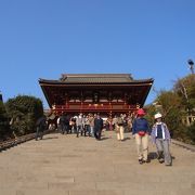 鎌倉に行ったこら、鶴岡八幡宮に行かなきゃ！ 