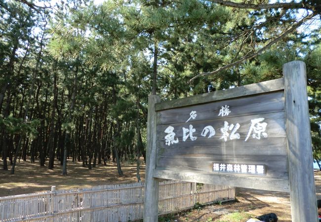 綺麗な景色がひろがります。