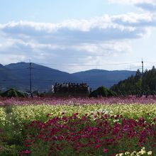 展望台もあります