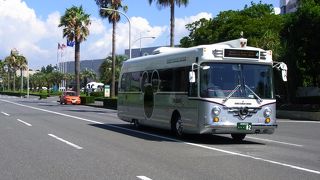 このバスを見るだけでもディズニーです