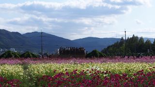 広いので見ごたえがあります