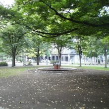 大通公園