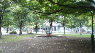 周囲の花がなくなった