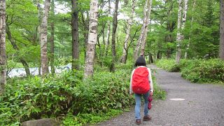 上高地に来たならば自然と触れ合うのが一番