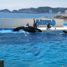 ほら海がこんなに間近