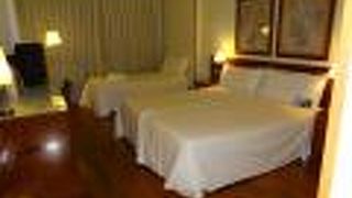 ホテル マドリード セントロ アフィリエーテッド バイ メリア