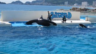 海を感じる水族館