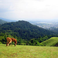 若草山