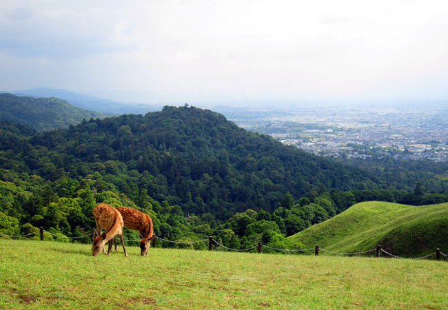 奈良盆地を望む。