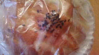 なつかしいようなパンです。