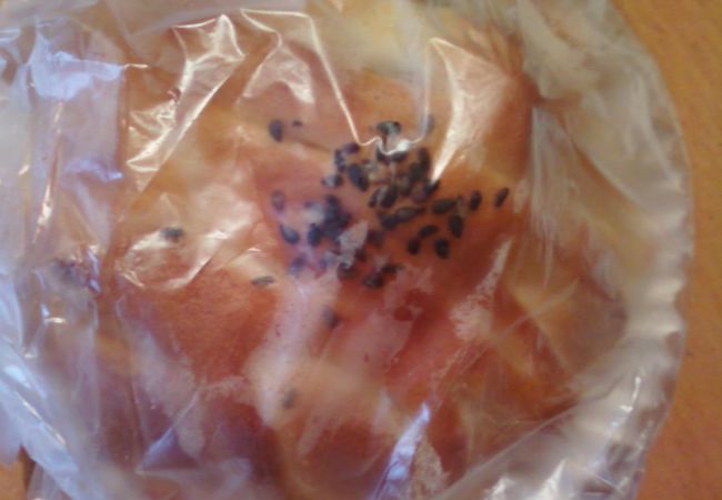 なつかしいようなパンです。