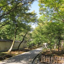 こちらは新緑の門前