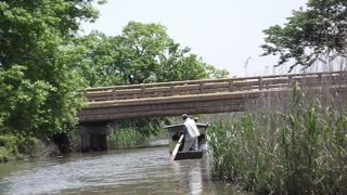 とても長閑な春の水郷を満喫しました。