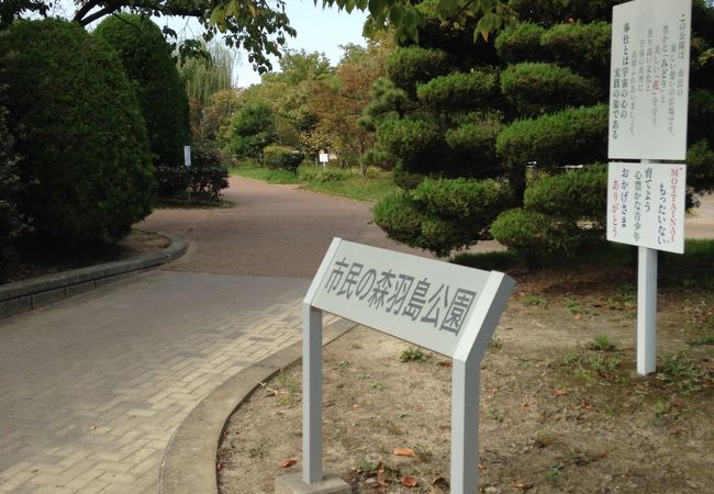 駐車場もある大きな公園です!!