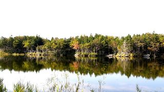 今は入れない？